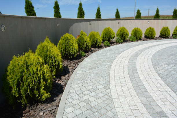 Driveway Repair Near Me in Pine Hills, CA